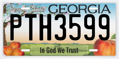 GA license plate PTH3599