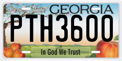 GA license plate PTH3600