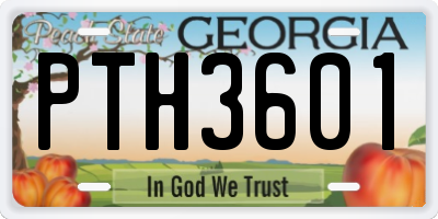 GA license plate PTH3601