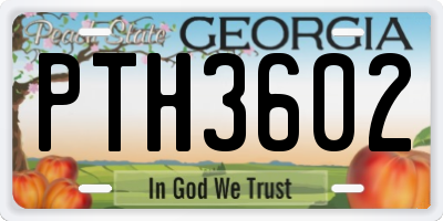 GA license plate PTH3602