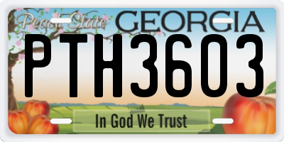 GA license plate PTH3603