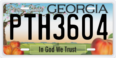 GA license plate PTH3604