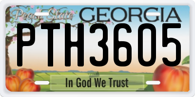 GA license plate PTH3605