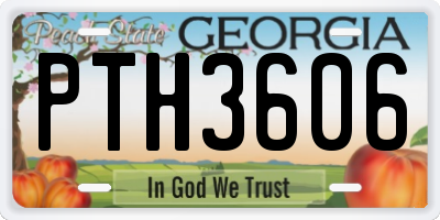 GA license plate PTH3606