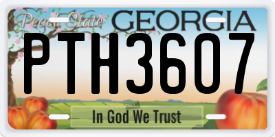 GA license plate PTH3607