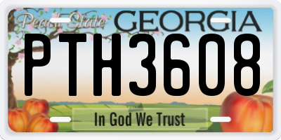 GA license plate PTH3608