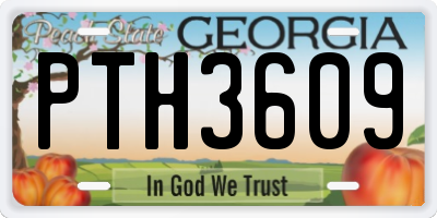 GA license plate PTH3609