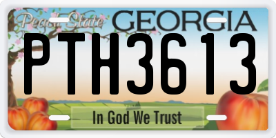 GA license plate PTH3613