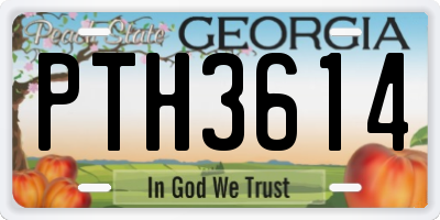 GA license plate PTH3614