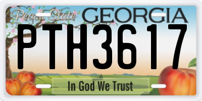 GA license plate PTH3617
