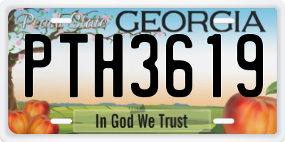 GA license plate PTH3619