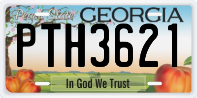 GA license plate PTH3621