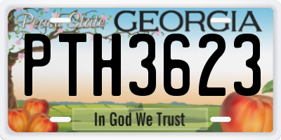 GA license plate PTH3623