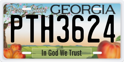 GA license plate PTH3624