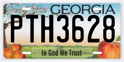 GA license plate PTH3628