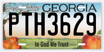 GA license plate PTH3629