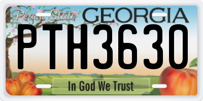 GA license plate PTH3630