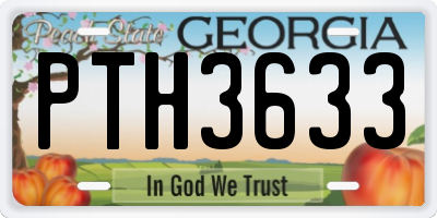 GA license plate PTH3633