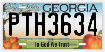GA license plate PTH3634