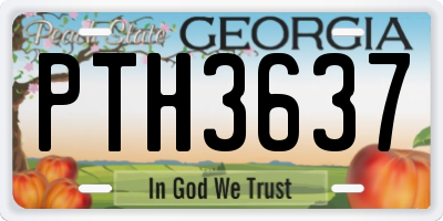 GA license plate PTH3637