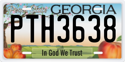 GA license plate PTH3638