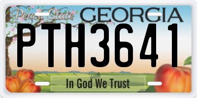 GA license plate PTH3641