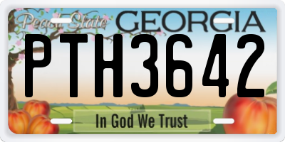 GA license plate PTH3642