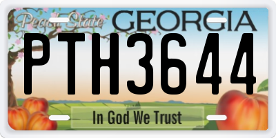 GA license plate PTH3644
