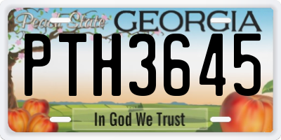 GA license plate PTH3645
