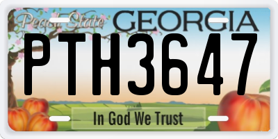GA license plate PTH3647