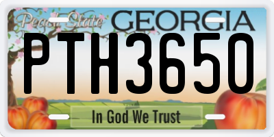 GA license plate PTH3650