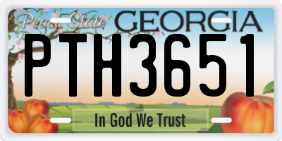 GA license plate PTH3651
