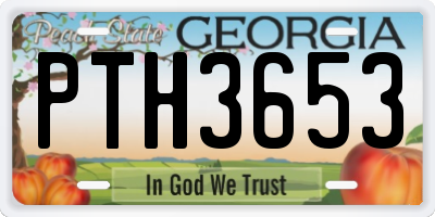 GA license plate PTH3653