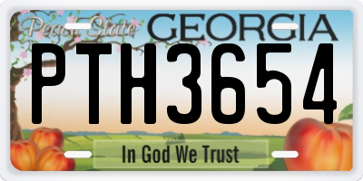 GA license plate PTH3654