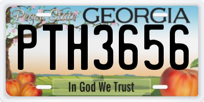 GA license plate PTH3656