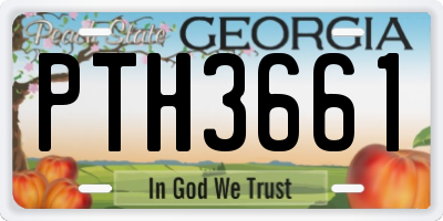 GA license plate PTH3661