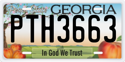 GA license plate PTH3663
