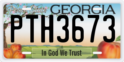 GA license plate PTH3673