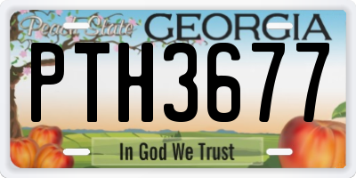 GA license plate PTH3677