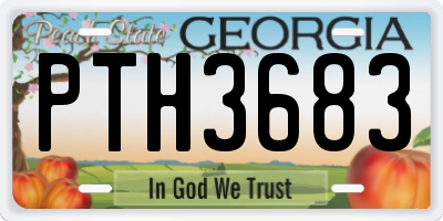 GA license plate PTH3683