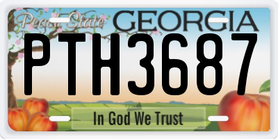 GA license plate PTH3687