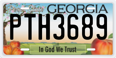 GA license plate PTH3689