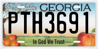 GA license plate PTH3691