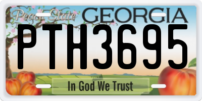 GA license plate PTH3695