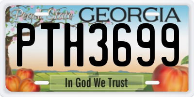 GA license plate PTH3699