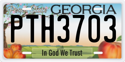 GA license plate PTH3703