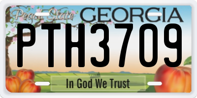 GA license plate PTH3709