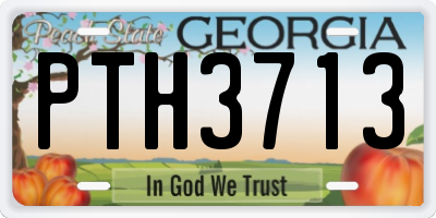 GA license plate PTH3713