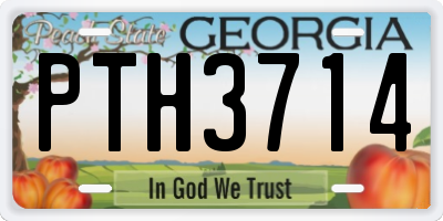 GA license plate PTH3714