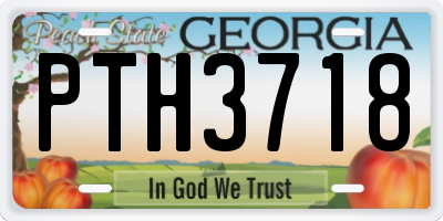 GA license plate PTH3718